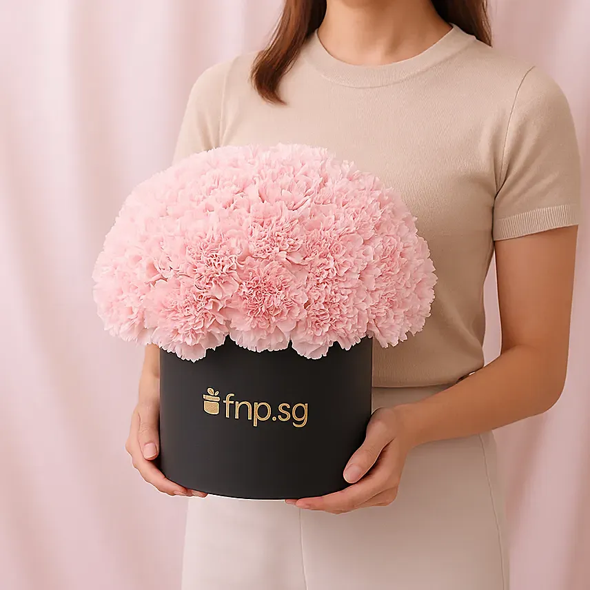 Pink Carnations Luxe Arrangement: Carnations Bouquets