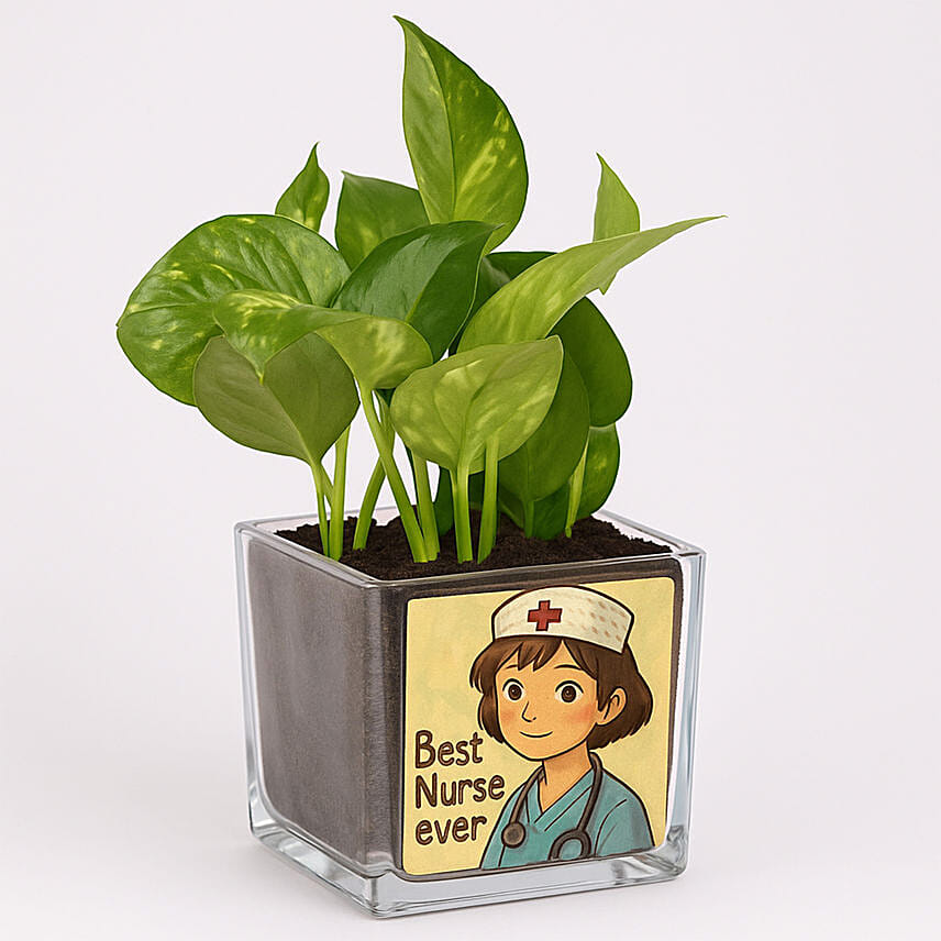 Personalised Money Plant Vase for Your Favourite Nurse: Money Plant Singapore