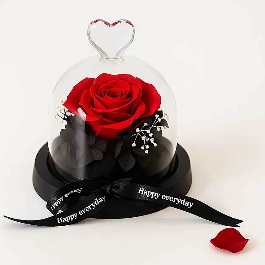 Forever Red Rose in Glass Dome: Valentine's Gifts