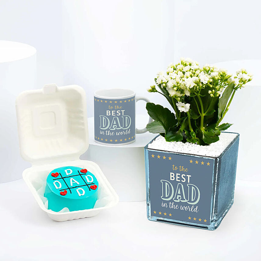 Best Dad Plant Mug N Cake Combo: Father's Day Plants