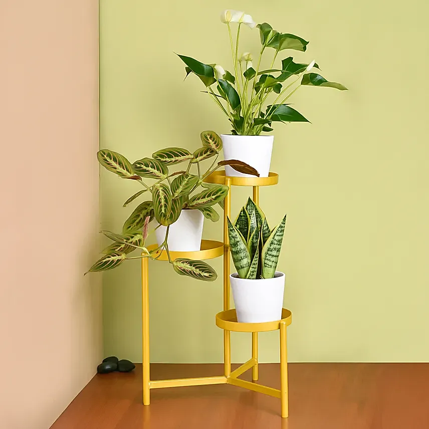 Luck and Peace Plant Stand: 