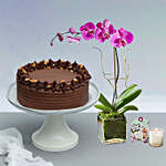 Walnut Chocolate Cake With Purple Orchid Plant