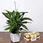 Lily Plant with Ferrero Rocher