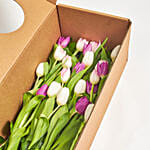 Lovely Mixed Tulips Box