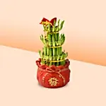 3 Layer Bamboo In Chinese New Year Theme Pot