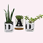 Trio Of Plants For Dad