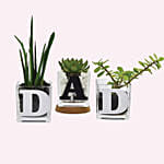 Trio Of Plants For Dad