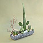 Mini Succulent Garden In Grey Vase