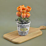 Orange Tulips Willow Basket