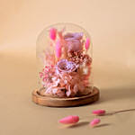 Forever Pink Preserved Rose
