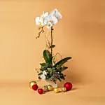 Willow Valley Christmas Arrangement