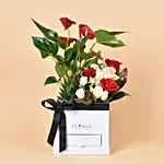 Flowers and Plants Box