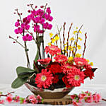 Phalenopsis and Gerberas Beauty Arrangement