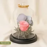 Forever Rose In Glass Dome- Pink