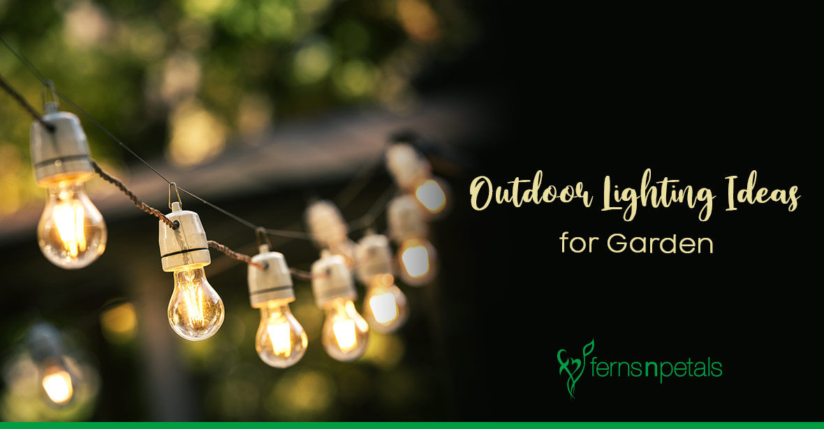 Outdoor Lighting Ideas for the Garden