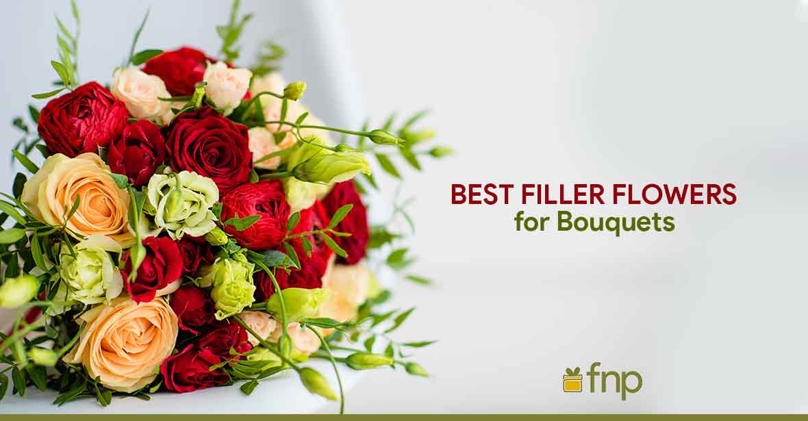 Types of Filler Flowers for Bouquets