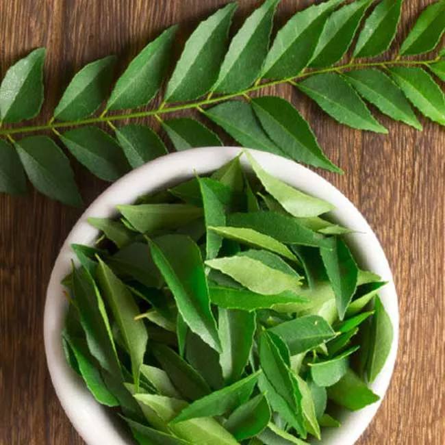 Curry Leaves 