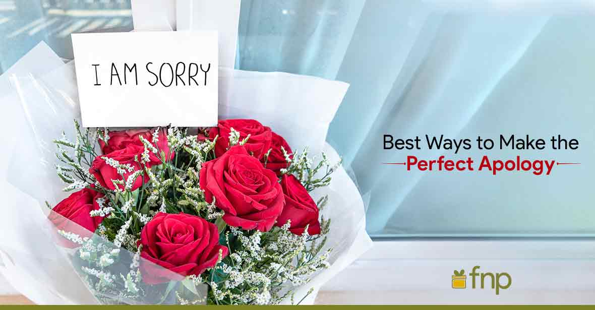 perfect apology ideas