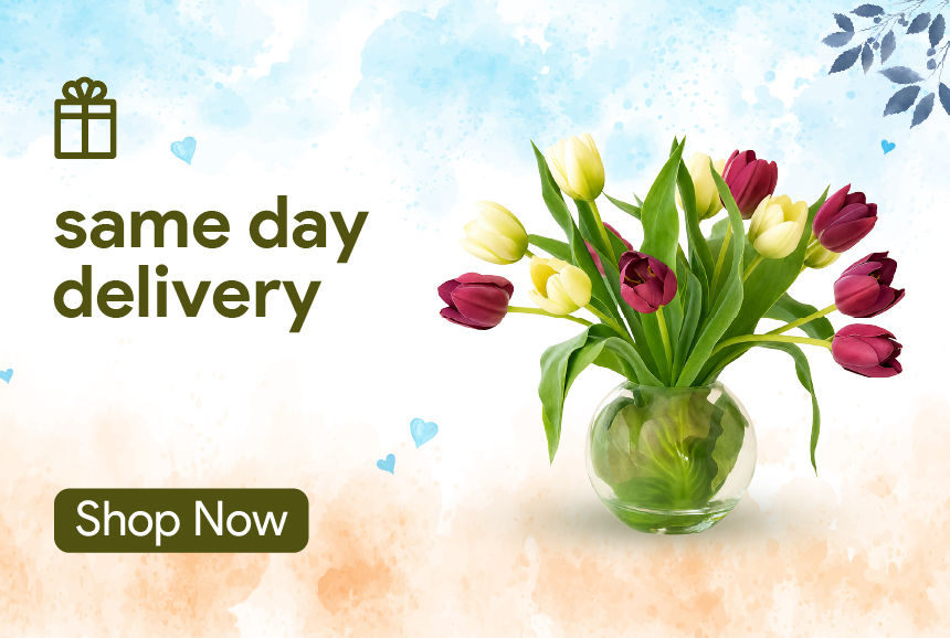 same day delivery gifts