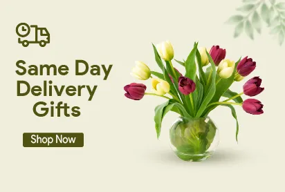 same day delivery gifts