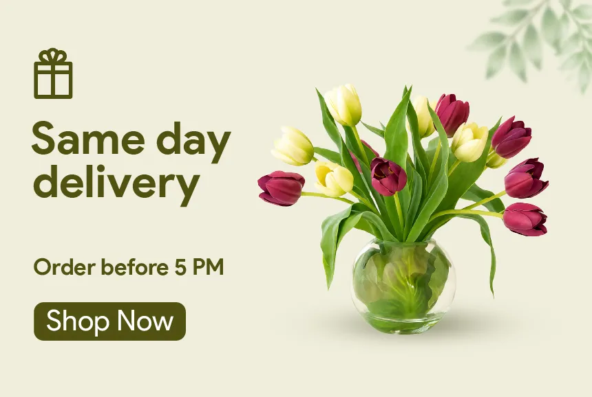 same day delivery gifts