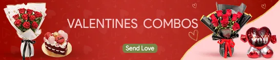 vday combos gifts