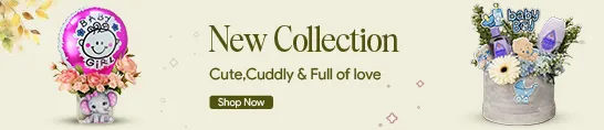  Bloom Buddies Bouquet Gifts