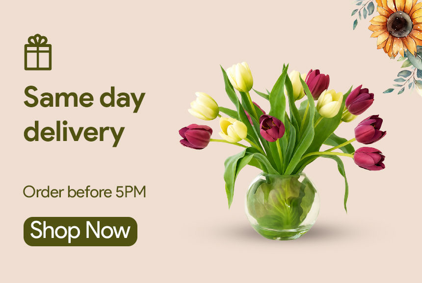 same day delivery gifts