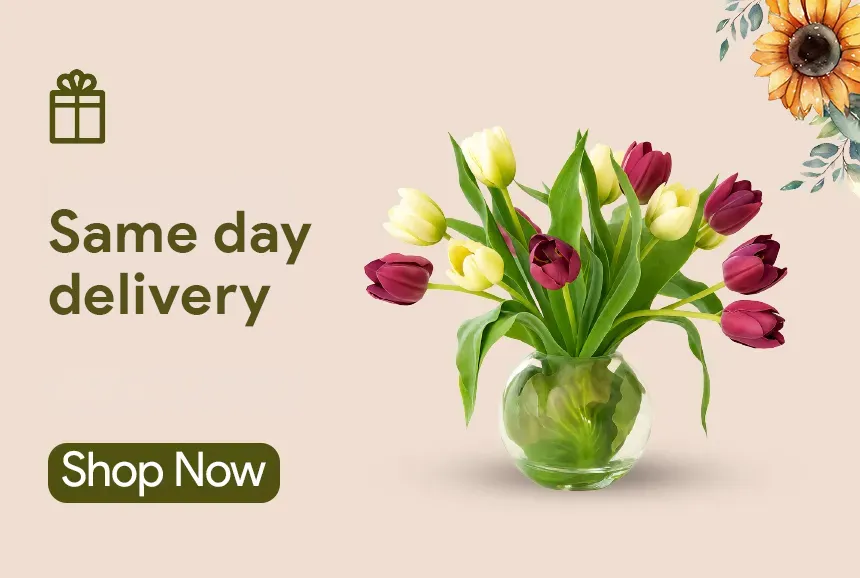 Same Day Delivery Gifts