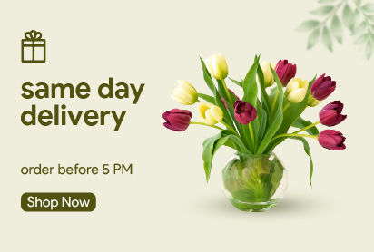same day delivery gifts