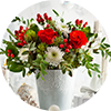 Christmas flowers