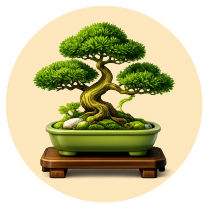 Bonsai Plants