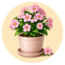 Flowering Plants
