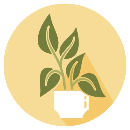 Plants