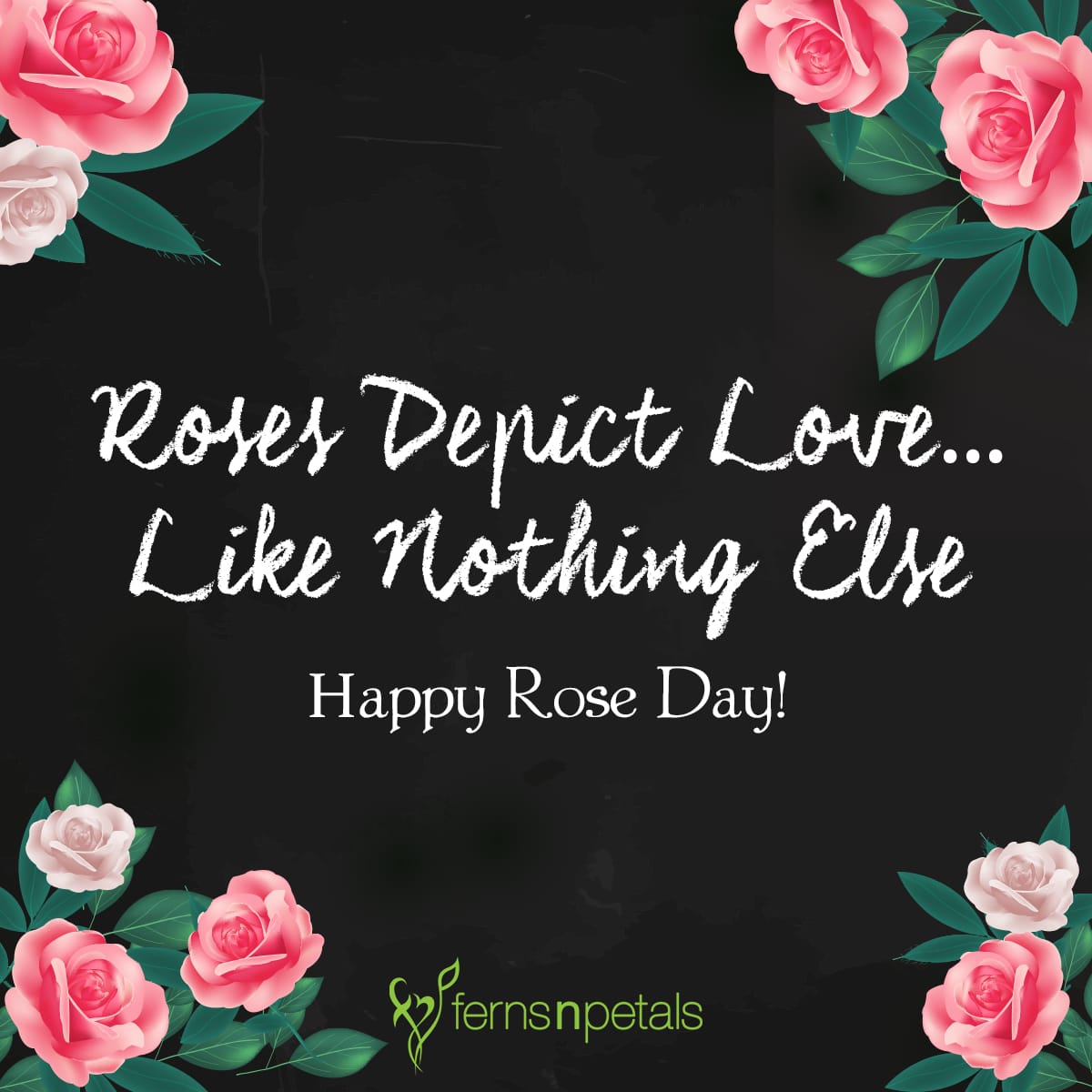 Rose Day Greetings
