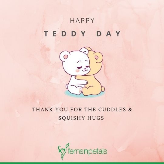 happy teddy day my love