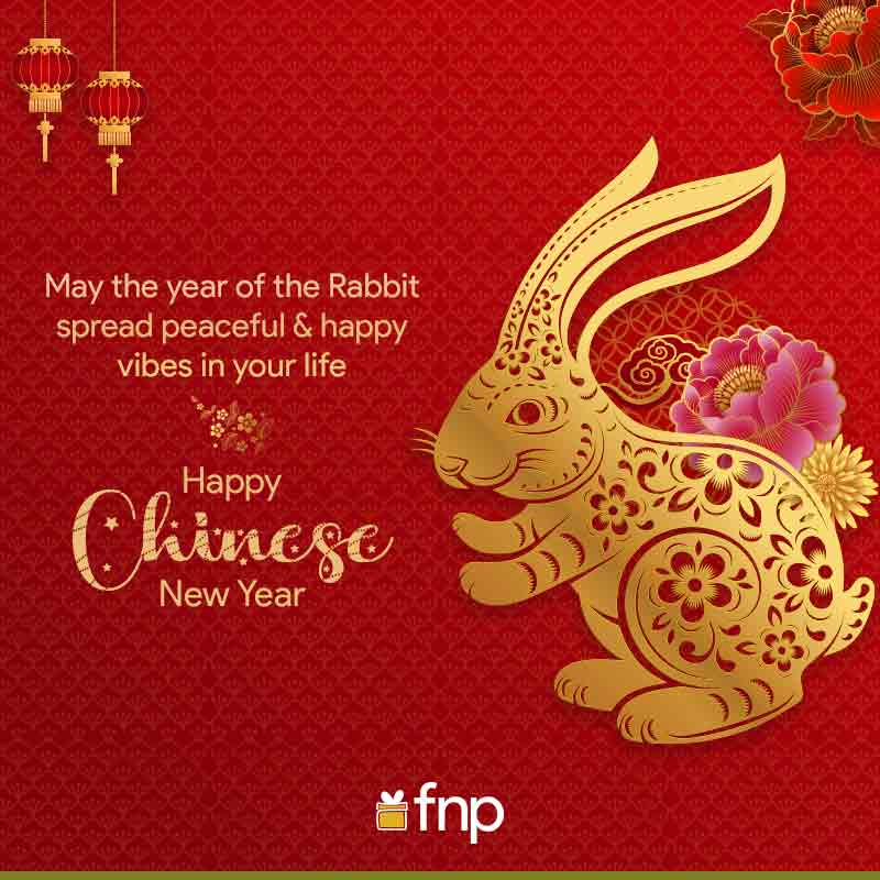 70 Chinese New Year Wishes and Lunar New Year Greetings for 2023