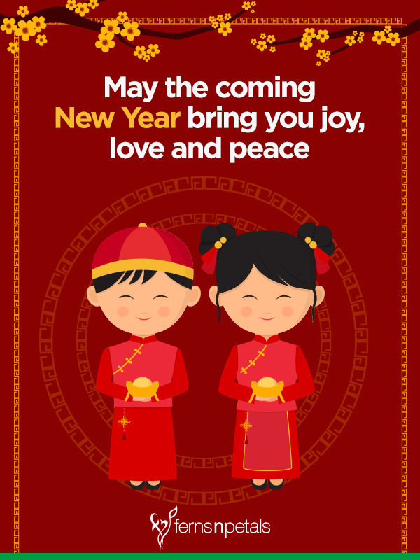 best chinese new year good wishes words
