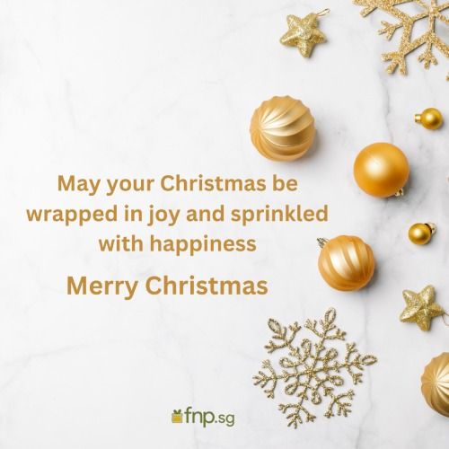 Christmas Quotes, Wishes \u0026 Greetings Online 2025 - FNP SG, image size:500x500
