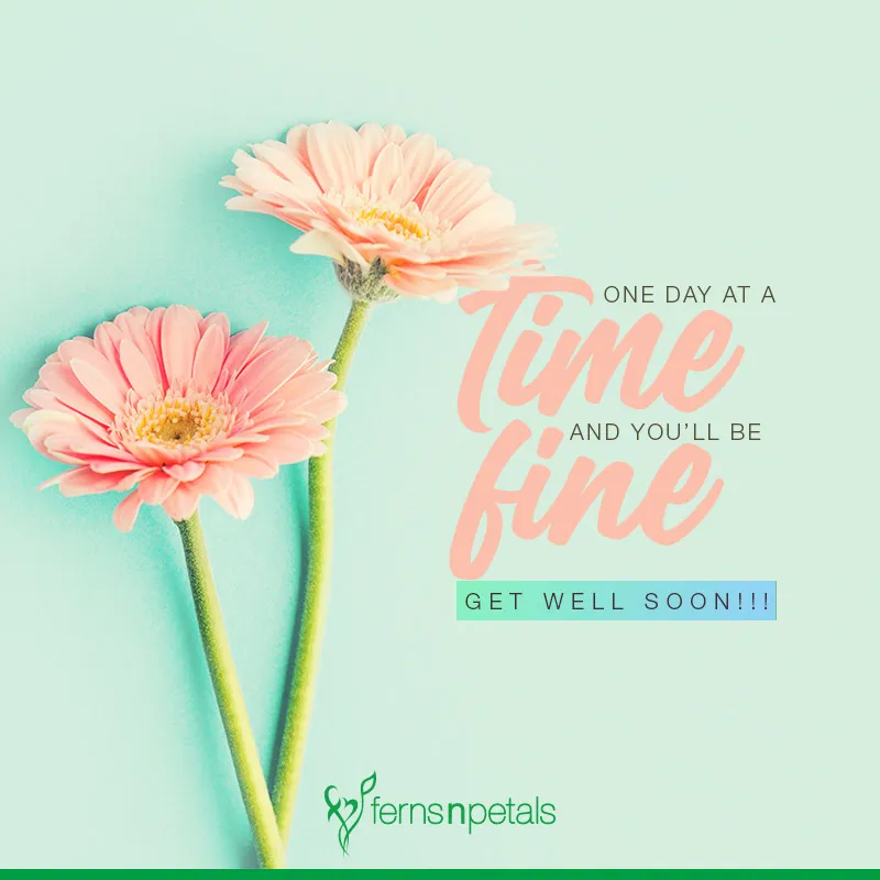 25+ Get Well Soon Quotes, Wishes And Messages - Fnp Sg