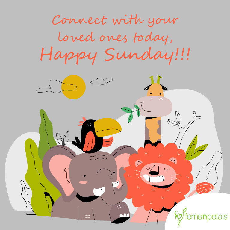 Happy Sunday Quotes, Messages and Greetings - FNP SG