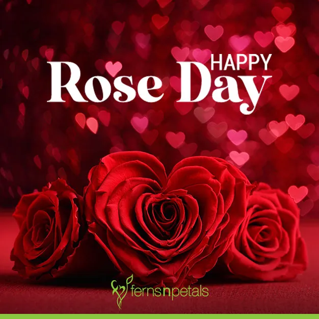 Rose Day