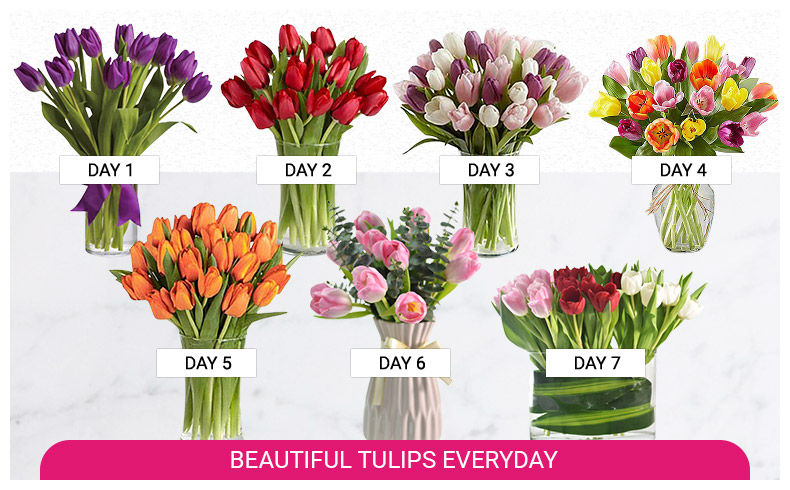 flowers daily delivery subscription