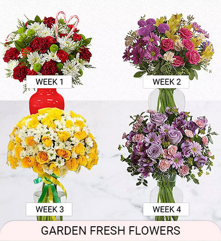 fresh flowers weekly delivery