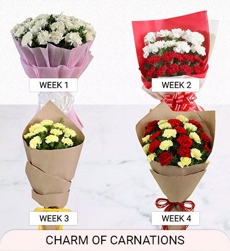 beautiful carnation weekly delivery