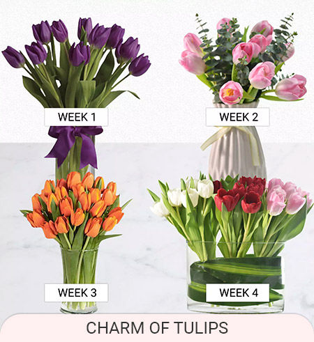 weekly tulips delivery