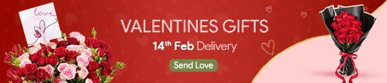 valentine day gifts