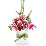 Pink Oriental Lilies Box Arrangement