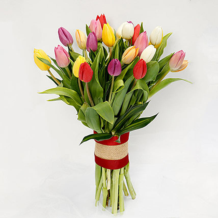 25 Mixed Tulip Bunch