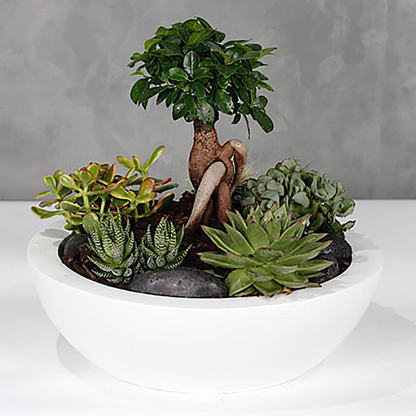 Bonsai Garden White Vase